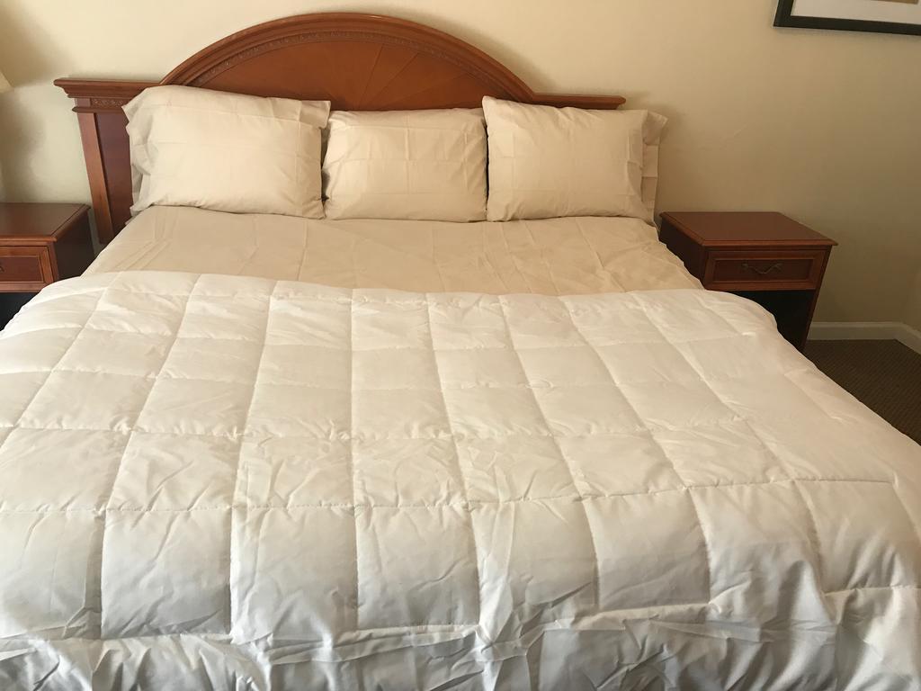 Red Carpet Inn, אלכסנדריה מראה חיצוני תמונה